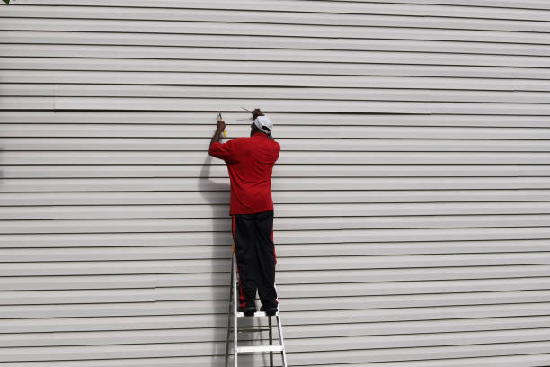 Best Siding Maintenance  in Endwell, NY